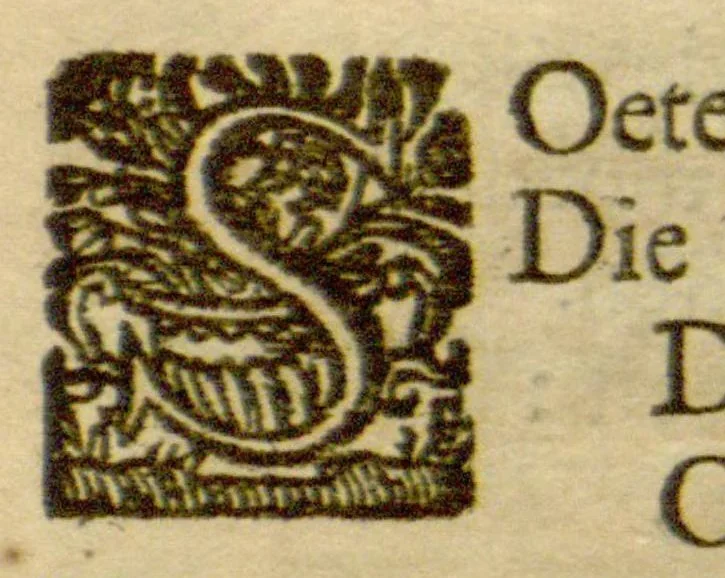 An illustration from Theatrum fungorum oft het toonsel der campernoelien ?... alles met neerstigheyt, lanck?duerige ondervindinghe, ende ijverigh ondersoecken vande schriften der ervarenste cruyt?kenders vergaedert ende beschreven /c door Franciscus van Sterbeeck., 1675, leaf 28