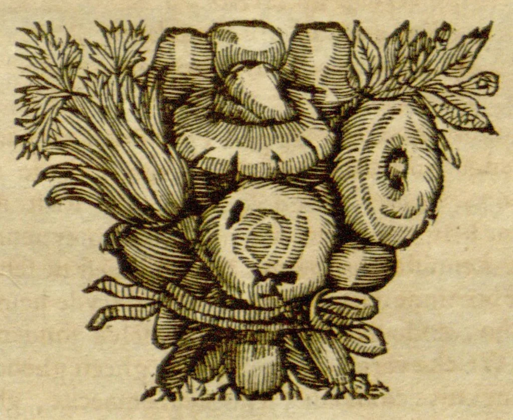 An illustration from Theatrum fungorum oft het toonsel der campernoelien ?... alles met neerstigheyt, lanck?duerige ondervindinghe, ende ijverigh ondersoecken vande schriften der ervarenste cruyt?kenders vergaedert ende beschreven /c door Franciscus van Sterbeeck., 1675, leaf 374
