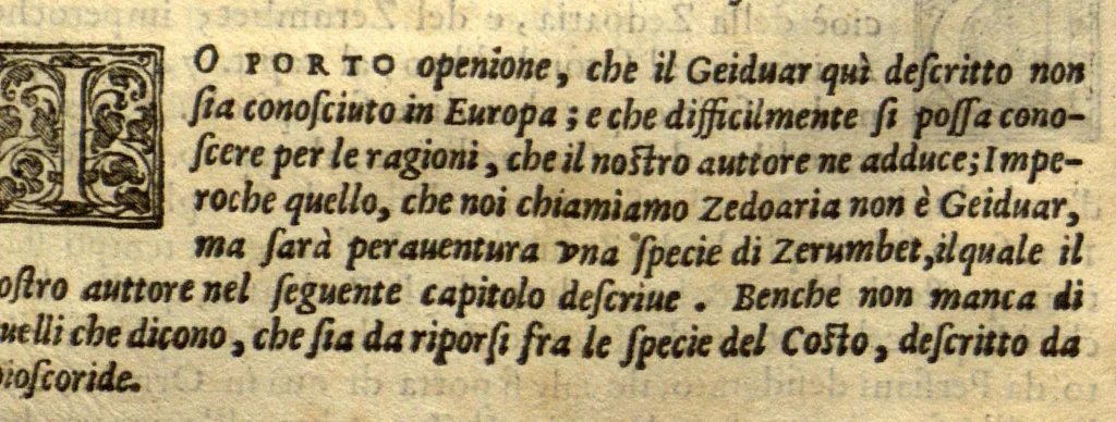 An illustration from Dve libri dell'historia de i semplici, aromati, et altre cose ?che vengono portate dall'Indie Orientali pertinente alla medicina /di don Garzia dall'Horto ... ; con alcune breui annotationi di Carlo Clvsio ; et dve altri libri parimente di qvelle che si portano dall'Indie Occidentali, di Nicolo? Monardes ... ; hora tutti tradotti dalle loro lingue nella nostra Italiana da m. Annibale Briganti ..., 1576, leaf 145