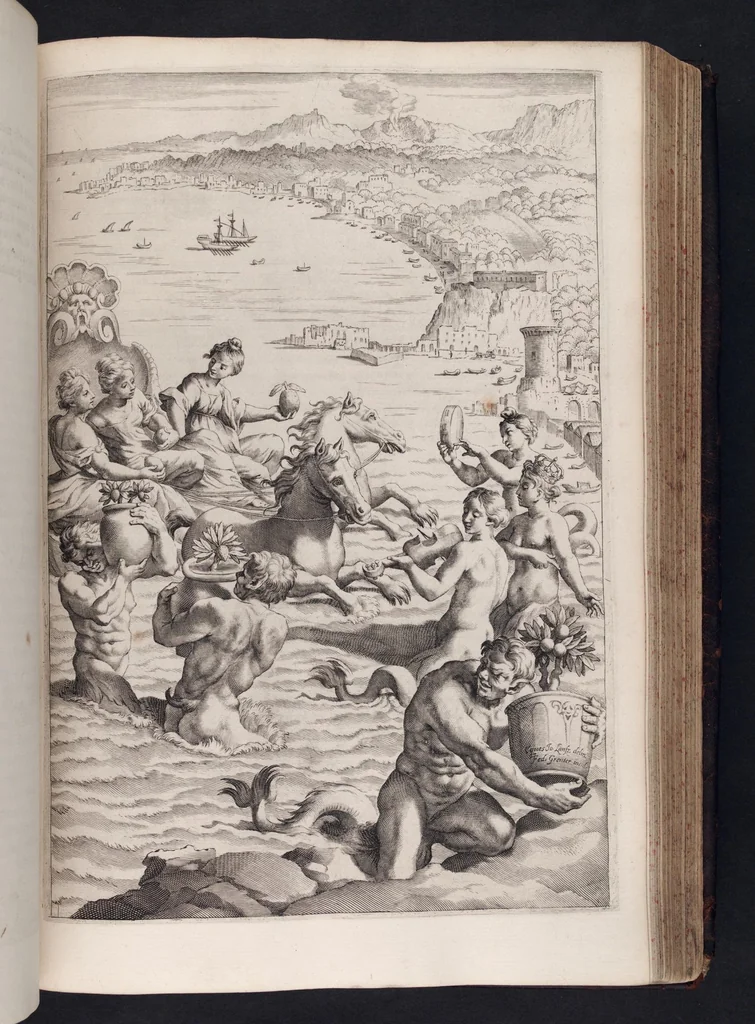 An illustration from Hesperides, sive, De malorvm avreorvm cvltvra et vsv libri quatuor, 1646, leaf 462