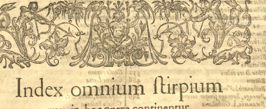 An illustration from Paradisi in sole paradisus terrestris, or, A garden of all sorts of pleasant flowers which our English ayre will permitt to be noursed vp?with a kitchen garden of all manner of herbes, rootes, & fruites, for meate or sause vsed with vs, and an orchard of all sorte of fruitbearing trees and shrubbes fit for our land together with the right orderinge planting & preseruing of them and their vses & vertues /collected by John Parkinson., 1629, leaf 623