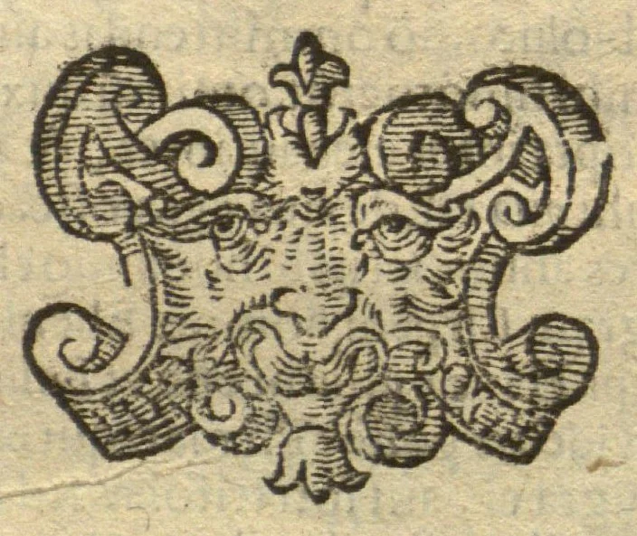 An illustration from De plantis exoticis libri duo /Prosperi Alpini ... ; opus completum, editum studio, ac opera Alpini Alpini ..., 1629, leaf 295