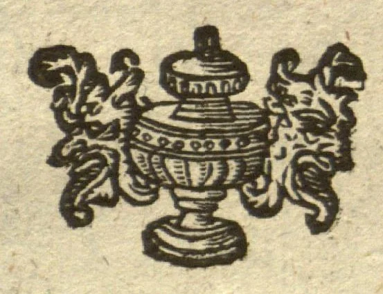 An illustration from De plantis exoticis libri duo /Prosperi Alpini ... ; opus completum, editum studio, ac opera Alpini Alpini ..., 1629, leaf 342