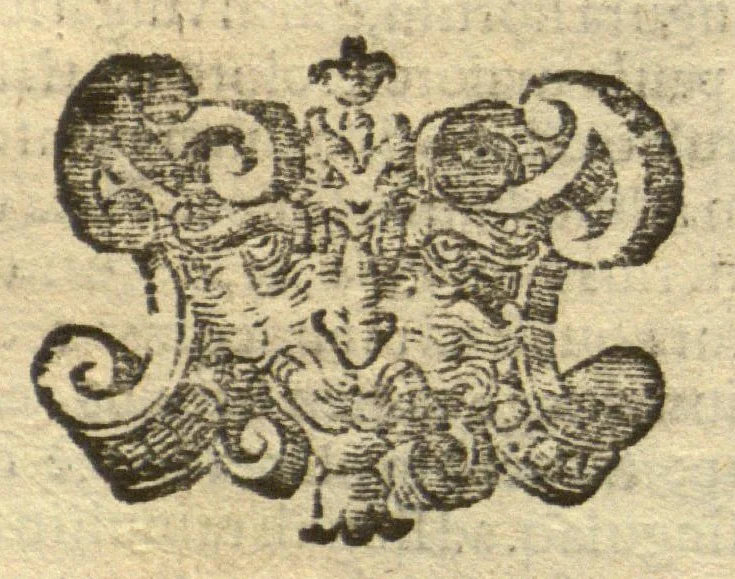An illustration from De plantis exoticis libri duo /Prosperi Alpini ... ; opus completum, editum studio, ac opera Alpini Alpini ..., 1629, leaf 357