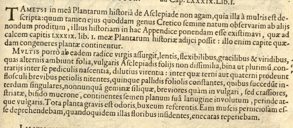 An illustration from Caroli Clusi Atrebatis, Impp. Caess. Augg., Maximiliani II, Rudolphi II, aulae quondam familiaris, Rariorum plantarum historia ?quae accesserint, proxima pagina docebit., 1601, leaf 631