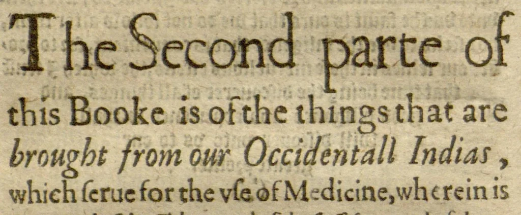 An illustration from Ioyfullnewes out of the new?found uuorlde ?wherein are declared, the rare and singuler vertues of diuers herbs, trees, plantes, oyles & stones, with their applications, as well to the use of phisicke as of chirurgery ... Also the portrature of the said hearbs /Englished by John Frampton ... Newly corrected ... Whereunto are added three other bookes treating of the bezaar stone, the herb escuerconera, the properties of iron and steele in medicine, and the benefit of snow., 1596, leaf 65