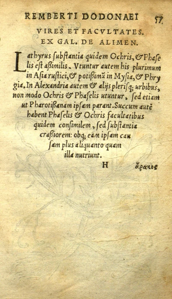 An illustration from Remberti Dodonaei mechliniensis medici De frugum historia., 1552, leaf 113