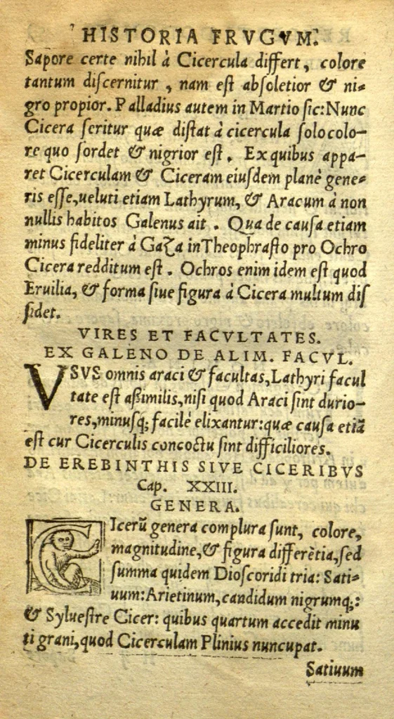 An illustration from Remberti Dodonaei mechliniensis medici De frugum historia., 1552, leaf 116