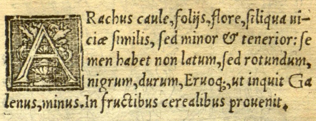 An illustration from Remberti Dodonaei mechliniensis medici De frugum historia., 1552, leaf 143