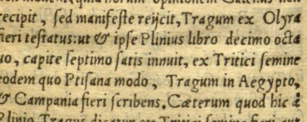 An illustration from Remberti Dodonaei mechliniensis medici De frugum historia., 1552, leaf 170