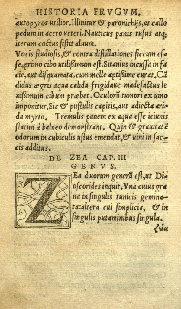 An illustration from Remberti Dodonaei mechliniensis medici De frugum historia., 1552, leaf 30