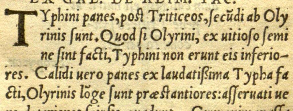 An illustration from Remberti Dodonaei mechliniensis medici De frugum historia., 1552, leaf 41