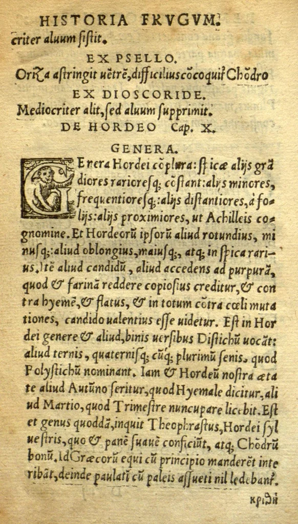 An illustration from Remberti Dodonaei mechliniensis medici De frugum historia., 1552, leaf 56