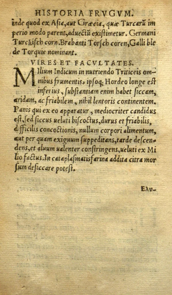An illustration from Remberti Dodonaei mechliniensis medici De frugum historia., 1552, leaf 70