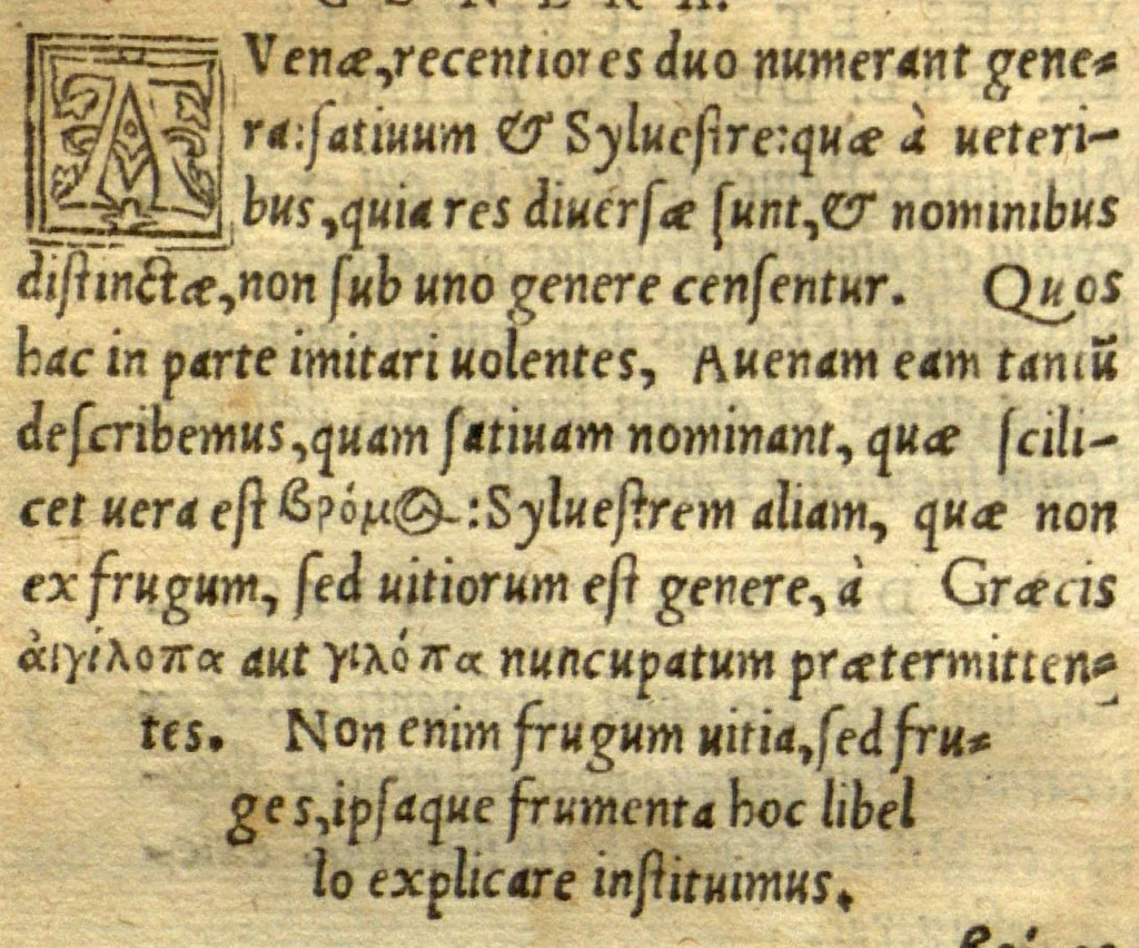 An illustration from Remberti Dodonaei mechliniensis medici De frugum historia., 1552, leaf 76
