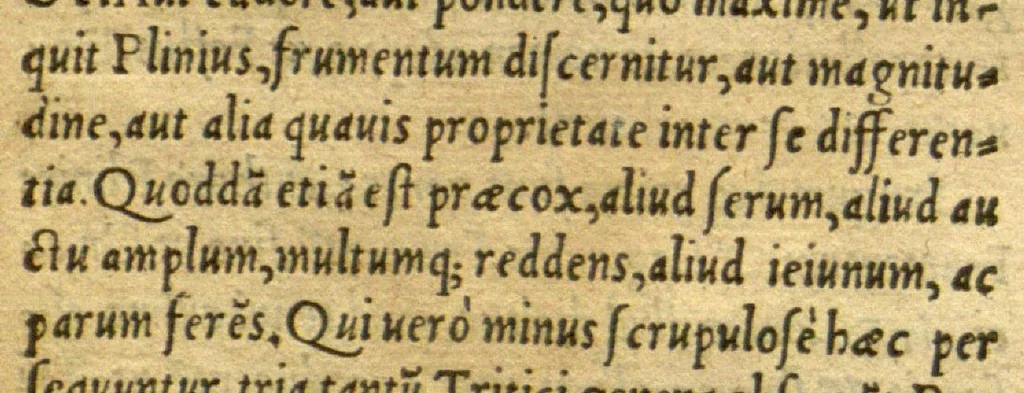 An illustration from Remberti Dodonaei mechliniensis medici De frugum historia., 1552, leaf 8