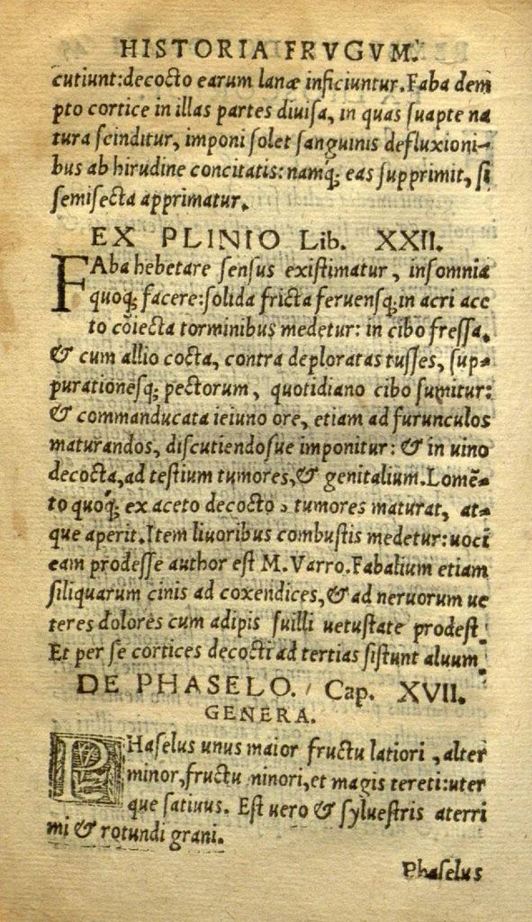 An illustration from Remberti Dodonaei mechliniensis medici De frugum historia., 1552, leaf 90