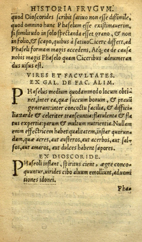 An illustration from Remberti Dodonaei mechliniensis medici De frugum historia., 1552, leaf 98