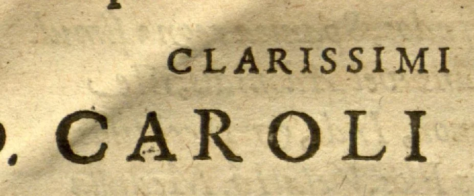 An illustration from Caroli Clvsii Atrebatis Cvrae posteriores, seu, Plurimarum non ante? cognitarum, aut descriptarum stirpium, peregrinorumq?ue aliquot animalium ?novae descriptiones? quibus & omnia ipsius opera, alia?que ab eo versa augentur, aut illustrantur /acessit seorsim Everardi Vorstii ... de eiusdem Caroli Clusii vita & obitu oratio, aliorumq?ue epicedia., 1611, leaf 174