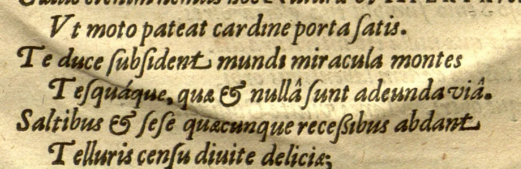 An illustration from Caroli Clvsii Atrebatis Cvrae posteriores, seu, Plurimarum non ante? cognitarum, aut descriptarum stirpium, peregrinorumq?ue aliquot animalium ?novae descriptiones? quibus & omnia ipsius opera, alia?que ab eo versa augentur, aut illustrantur /acessit seorsim Everardi Vorstii ... de eiusdem Caroli Clusii vita & obitu oratio, aliorumq?ue epicedia., 1611, leaf 174