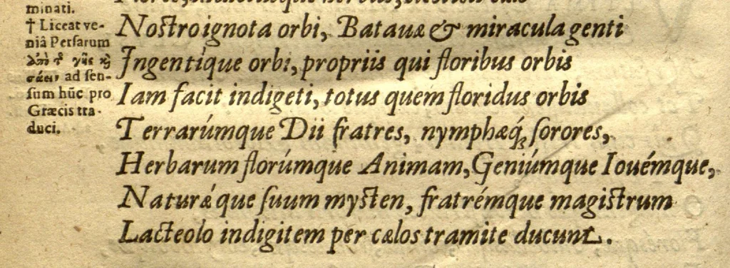 An illustration from Caroli Clvsii Atrebatis Cvrae posteriores, seu, Plurimarum non ante? cognitarum, aut descriptarum stirpium, peregrinorumq?ue aliquot animalium ?novae descriptiones? quibus & omnia ipsius opera, alia?que ab eo versa augentur, aut illustrantur /acessit seorsim Everardi Vorstii ... de eiusdem Caroli Clusii vita & obitu oratio, aliorumq?ue epicedia., 1611, leaf 177