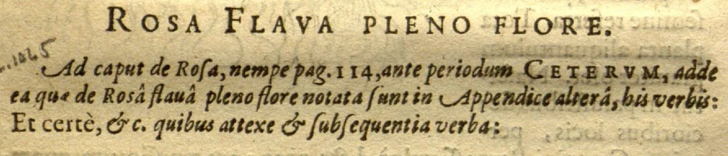 An illustration from Caroli Clvsii Atrebatis Cvrae posteriores, seu, Plurimarum non ante? cognitarum, aut descriptarum stirpium, peregrinorumq?ue aliquot animalium ?novae descriptiones? quibus & omnia ipsius opera, alia?que ab eo versa augentur, aut illustrantur /acessit seorsim Everardi Vorstii ... de eiusdem Caroli Clusii vita & obitu oratio, aliorumq?ue epicedia., 1611, leaf 20