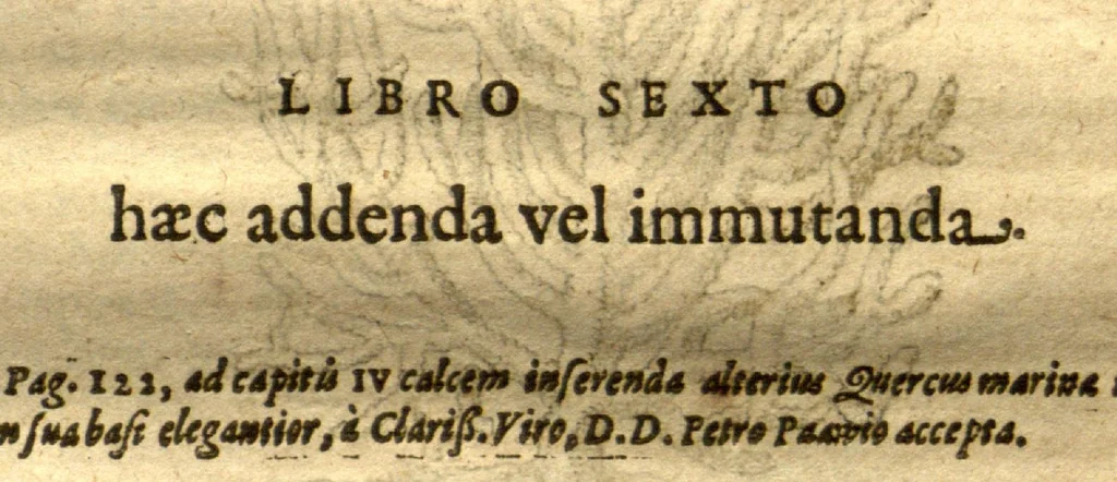An illustration from Caroli Clvsii Atrebatis Cvrae posteriores, seu, Plurimarum non ante? cognitarum, aut descriptarum stirpium, peregrinorumq?ue aliquot animalium ?novae descriptiones? quibus & omnia ipsius opera, alia?que ab eo versa augentur, aut illustrantur /acessit seorsim Everardi Vorstii ... de eiusdem Caroli Clusii vita & obitu oratio, aliorumq?ue epicedia., 1611, leaf 97