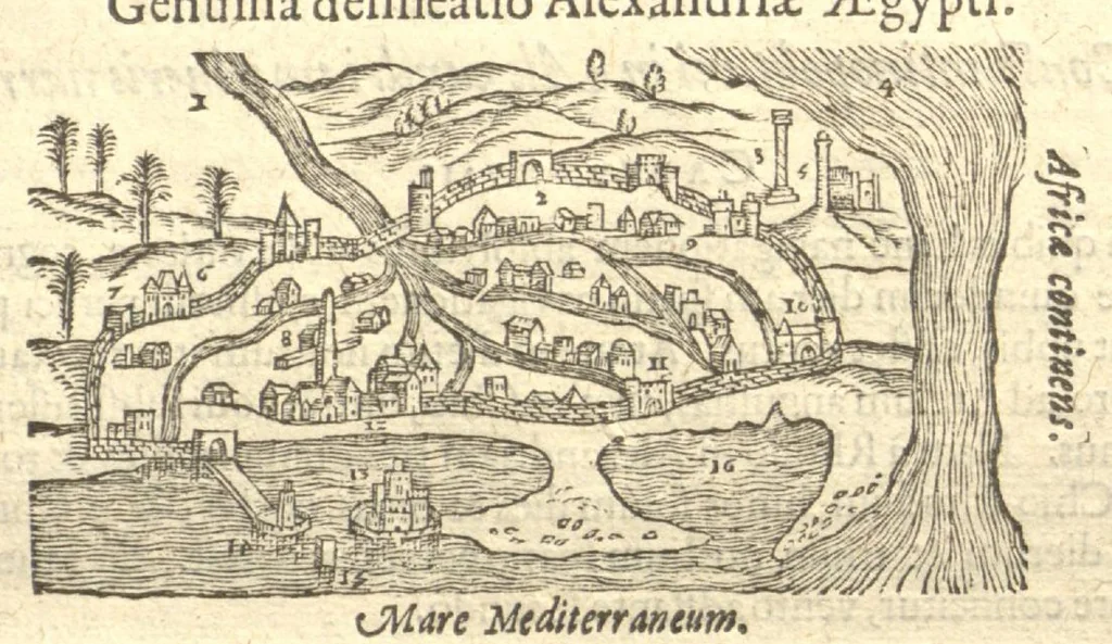 An illustration from Caroli Clvsii Atrebatis ... Exoticorvm libri decem ?quibus animalium, plantarum, aromatum, aliorum que peregrinorum fructuum historiae describuntur /item Petri Bellonii observationes ; eodem Carolo Clusio interprete ; series totius operis post praefationem indicabitur., 1605, leaf 589