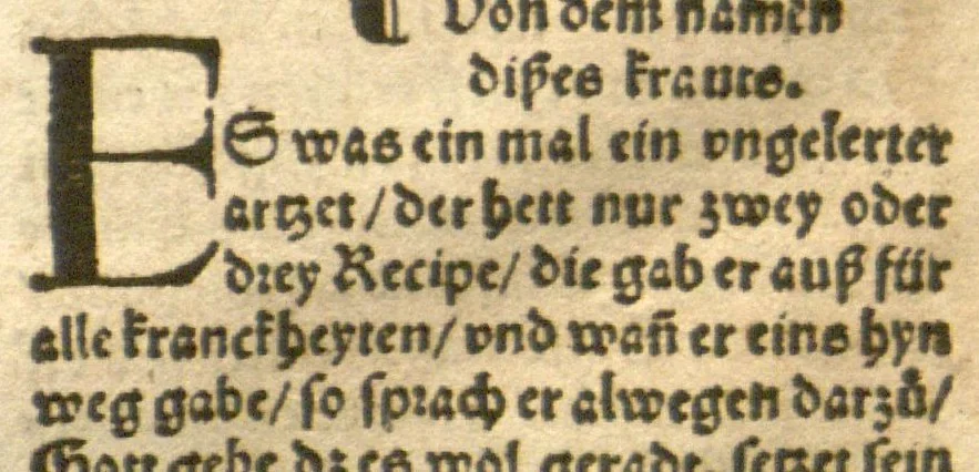 An illustration from Kreu?terbuch contrafayt vollkummen nach rechter warer beschreibung der alten leerer und a?rtzt ?sampt einer gemeynen ynleytung der Kreuter urhab erkatnussz brauch lob un herzlicheit /durch Otho Brunfels., 1534, leaf 102