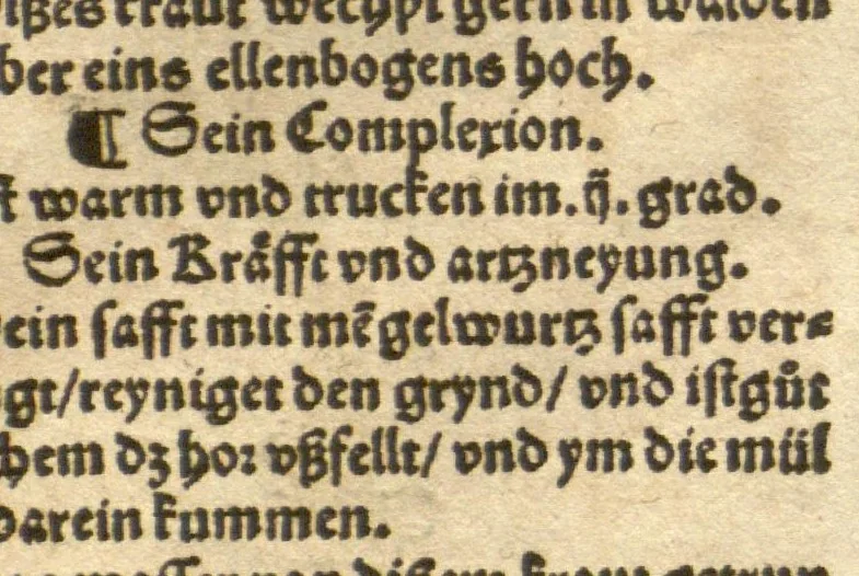 An illustration from Kreu?terbuch contrafayt vollkummen nach rechter warer beschreibung der alten leerer und a?rtzt ?sampt einer gemeynen ynleytung der Kreuter urhab erkatnussz brauch lob un herzlicheit /durch Otho Brunfels., 1534, leaf 57