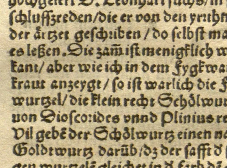 An illustration from Kreu?terbuch contrafayt vollkummen nach rechter warer beschreibung der alten leerer und a?rtzt ?sampt einer gemeynen ynleytung der Kreuter urhab erkatnussz brauch lob un herzlicheit /durch Otho Brunfels., 1534, leaf 77