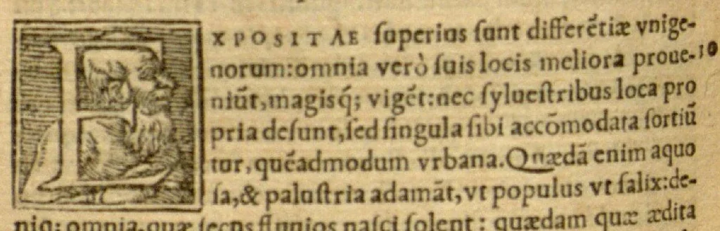 An illustration from Theophrasti ... De historia plantarum ?libri IX cum decimi principio, & De causis, siue, earum generatione, libri VI /Theodoro Gaza interprete., 1552, leaf 130