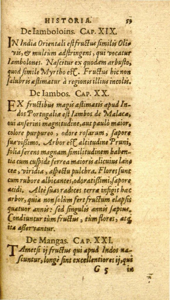 An illustration from Assertio de murrhinis, sive, De iis quae murrhino nomine exprimuntur, adversus quosdam, de iis minus recte? differentes ?opusculum ad multiplicem rerum cognitionem profuturum, in quo multa noua memorabilia cognitu iucunda, simul & cuiusuis facultatis studiosis vtilia, de myrrha, potionibus, vnguentis & vasis murrhinis, potione vini myrrhati, necnon & aceti Christo Saluatori nostro porrecta, ac aliis non paucis reconditis adferuntur, plurium errores deteguntur, multa scriptorum loca, vel corrupta restituuntur, vel obscura declarantur /Nicolao Guiberto ... auctore., 1597, leaf 421