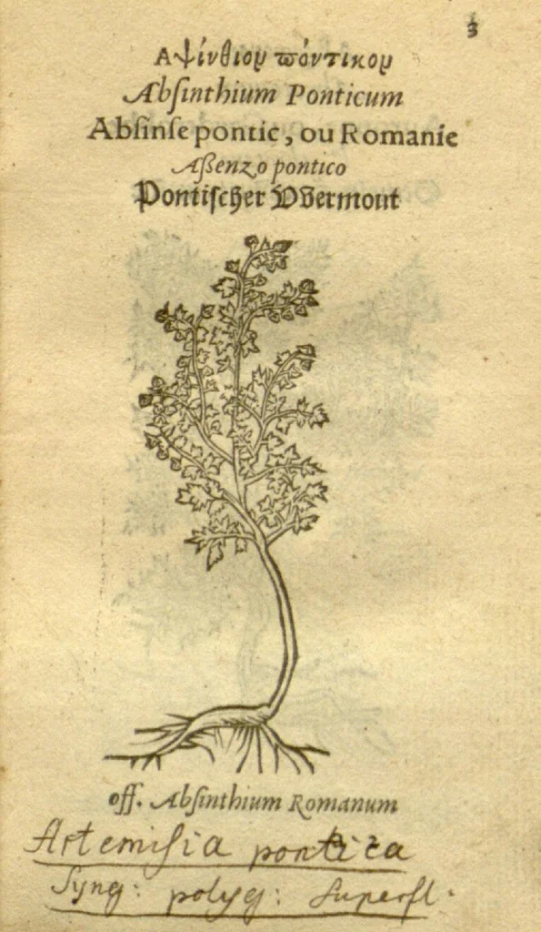 An illustration from Plantarum effigies /e? Leonartho Fuschio, ac quinque diuersis linguis redditae ..., 1549, leaf 26
