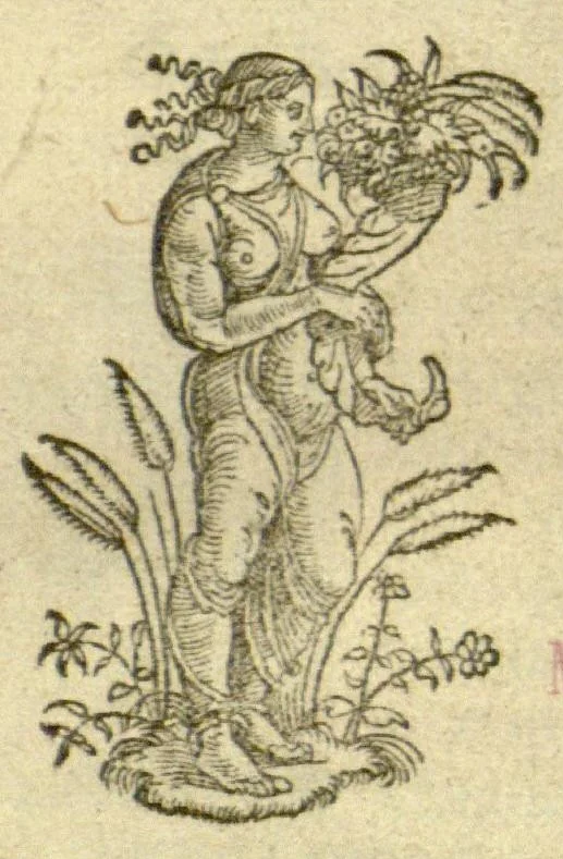 An illustration from Pauli Aeginetae Pharmaca simplicia /Othone Brunfelsio interprete. Idem, De ratione victus Gulielmo Copo Basiliensi interprete. In Paulum Aeginetam De simplicibus, iuxta De ratione victus, index tum utilis, tum necessarius., 1531, leaf 1