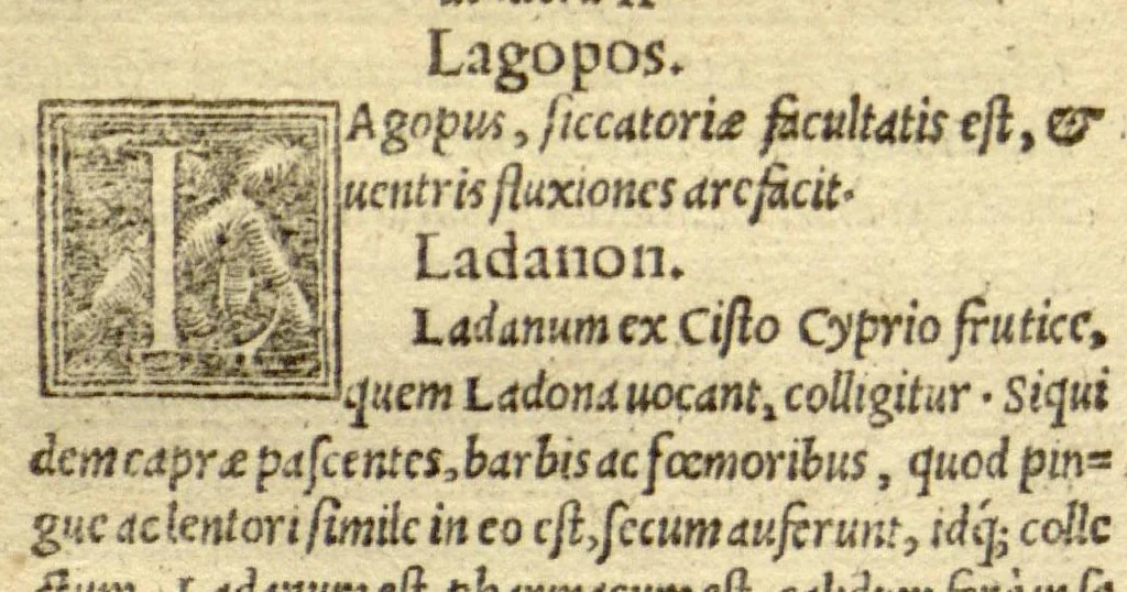 An illustration from Pauli Aeginetae Pharmaca simplicia /Othone Brunfelsio interprete. Idem, De ratione victus Gulielmo Copo Basiliensi interprete. In Paulum Aeginetam De simplicibus, iuxta De ratione victus, index tum utilis, tum necessarius., 1531, leaf 101