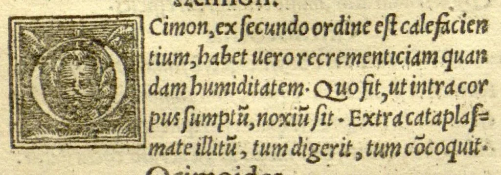 An illustration from Pauli Aeginetae Pharmaca simplicia /Othone Brunfelsio interprete. Idem, De ratione victus Gulielmo Copo Basiliensi interprete. In Paulum Aeginetam De simplicibus, iuxta De ratione victus, index tum utilis, tum necessarius., 1531, leaf 163