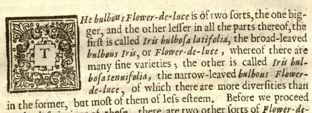 An illustration from Flora, seu, De florum cultura, or, A complete florilege ?furnished with all the requisites belonging to a florists. In III books /by John Rea ..., 1665, leaf 144