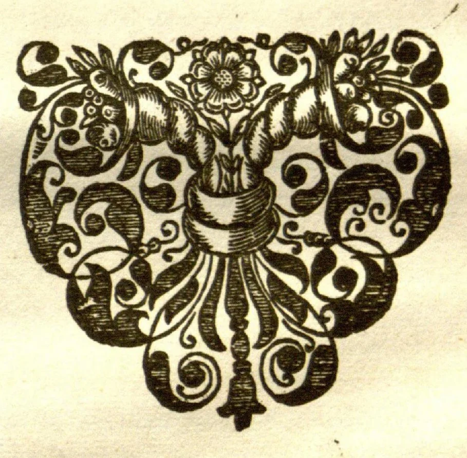 An illustration from Flora, seu, De florum cultura, or, A complete florilege ?furnished with all the requisites belonging to a florists. In III books /by John Rea ..., 1665, leaf 210