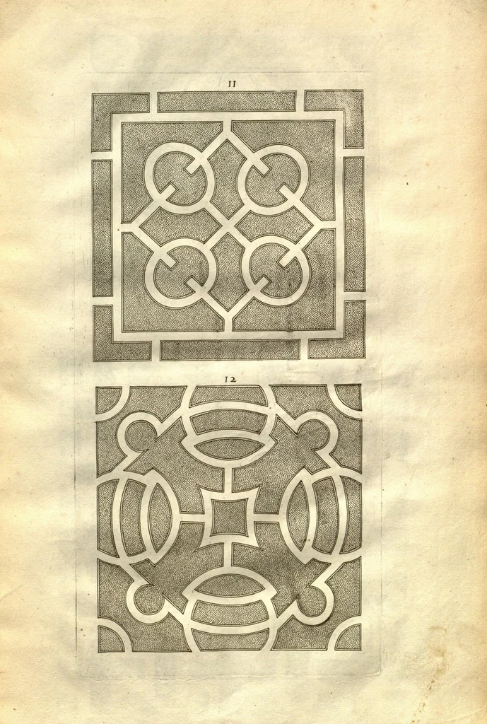 An illustration from Flora, seu, De florum cultura, or, A complete florilege ?furnished with all the requisites belonging to a florists. In III books /by John Rea ..., 1665, leaf 46