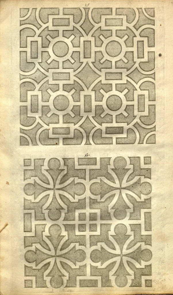 An illustration from Flora, seu, De florum cultura, or, A complete florilege ?furnished with all the requisites belonging to a florists. In III books /by John Rea ..., 1665, leaf 50