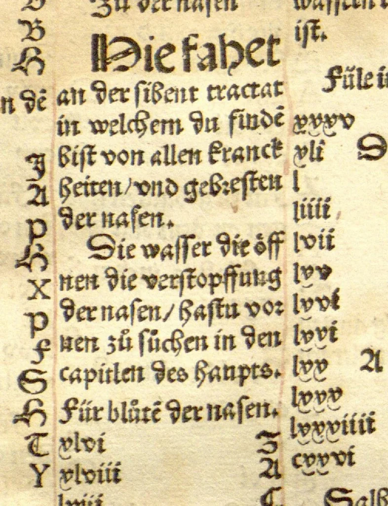 An illustration from Das Distilierbuoch : das buoch der rechten kunst zu distilieren und die wasser zu brennen angezögt mit Figuren nutzlich den menschlichen leib in Gesuntheit zubehalten / erstmals von meister Jeronimo Brunschweick zusamen coligiert ; und von Marsilio Ficino des hoch berümpten, des langen und gesunden lebens, als er an im selbs bewert hundert uñ zehen iar rüwiklich gelebt hat., 1521, leaf 42