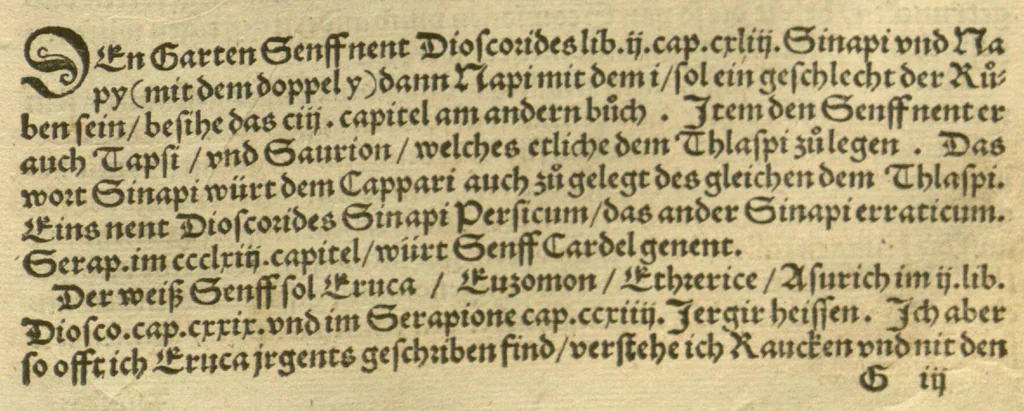 An illustration from Kreu?ter Buch, darin Underscheid, Wu?rckung und Namen der Kreu?ter so in Deutschen Landen wachsen ?auch der selbigen eigentlicher und wolgegru?ndter gebrauch inn der Artznei fleissig dargeben, Leibs Gesundheit zu behalten und zu fu?rderen seer nutzlich und tro?stlich, vorab dem gemeinen einfaltigen man /durch H. Hieronymum Bock aus langwiriger und gewisser erfarung beschriben und jetzund von newem fleissig u?bersehen, gebessert und gemehret, dazu mit hu?pschen artigen Figuren allenthalben gezieret., 1546, leaf 114