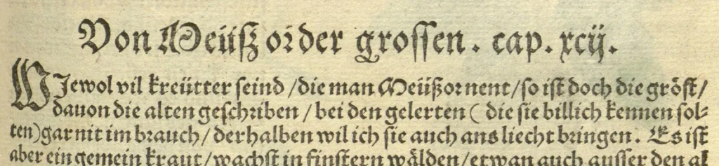 An illustration from Kreu?ter Buch, darin Underscheid, Wu?rckung und Namen der Kreu?ter so in Deutschen Landen wachsen ?auch der selbigen eigentlicher und wolgegru?ndter gebrauch inn der Artznei fleissig dargeben, Leibs Gesundheit zu behalten und zu fu?rderen seer nutzlich und tro?stlich, vorab dem gemeinen einfaltigen man /durch H. Hieronymum Bock aus langwiriger und gewisser erfarung beschriben und jetzund von newem fleissig u?bersehen, gebessert und gemehret, dazu mit hu?pschen artigen Figuren allenthalben gezieret., 1546, leaf 242