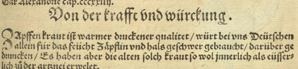 An illustration from Kreu?ter Buch, darin Underscheid, Wu?rckung und Namen der Kreu?ter so in Deutschen Landen wachsen ?auch der selbigen eigentlicher und wolgegru?ndter gebrauch inn der Artznei fleissig dargeben, Leibs Gesundheit zu behalten und zu fu?rderen seer nutzlich und tro?stlich, vorab dem gemeinen einfaltigen man /durch H. Hieronymum Bock aus langwiriger und gewisser erfarung beschriben und jetzund von newem fleissig u?bersehen, gebessert und gemehret, dazu mit hu?pschen artigen Figuren allenthalben gezieret., 1546, leaf 332