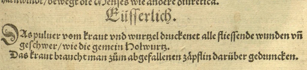 An illustration from Kreu?ter Buch, darin Underscheid, Wu?rckung und Namen der Kreu?ter so in Deutschen Landen wachsen ?auch der selbigen eigentlicher und wolgegru?ndter gebrauch inn der Artznei fleissig dargeben, Leibs Gesundheit zu behalten und zu fu?rderen seer nutzlich und tro?stlich, vorab dem gemeinen einfaltigen man /durch H. Hieronymum Bock aus langwiriger und gewisser erfarung beschriben und jetzund von newem fleissig u?bersehen, gebessert und gemehret, dazu mit hu?pschen artigen Figuren allenthalben gezieret., 1546, leaf 332
