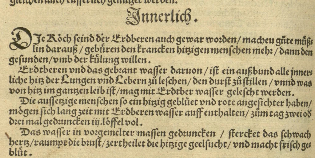 An illustration from Kreu?ter Buch, darin Underscheid, Wu?rckung und Namen der Kreu?ter so in Deutschen Landen wachsen ?auch der selbigen eigentlicher und wolgegru?ndter gebrauch inn der Artznei fleissig dargeben, Leibs Gesundheit zu behalten und zu fu?rderen seer nutzlich und tro?stlich, vorab dem gemeinen einfaltigen man /durch H. Hieronymum Bock aus langwiriger und gewisser erfarung beschriben und jetzund von newem fleissig u?bersehen, gebessert und gemehret, dazu mit hu?pschen artigen Figuren allenthalben gezieret., 1546, leaf 413