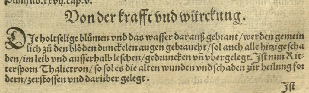 An illustration from Kreu?ter Buch, darin Underscheid, Wu?rckung und Namen der Kreu?ter so in Deutschen Landen wachsen ?auch der selbigen eigentlicher und wolgegru?ndter gebrauch inn der Artznei fleissig dargeben, Leibs Gesundheit zu behalten und zu fu?rderen seer nutzlich und tro?stlich, vorab dem gemeinen einfaltigen man /durch H. Hieronymum Bock aus langwiriger und gewisser erfarung beschriben und jetzund von newem fleissig u?bersehen, gebessert und gemehret, dazu mit hu?pschen artigen Figuren allenthalben gezieret., 1546, leaf 464