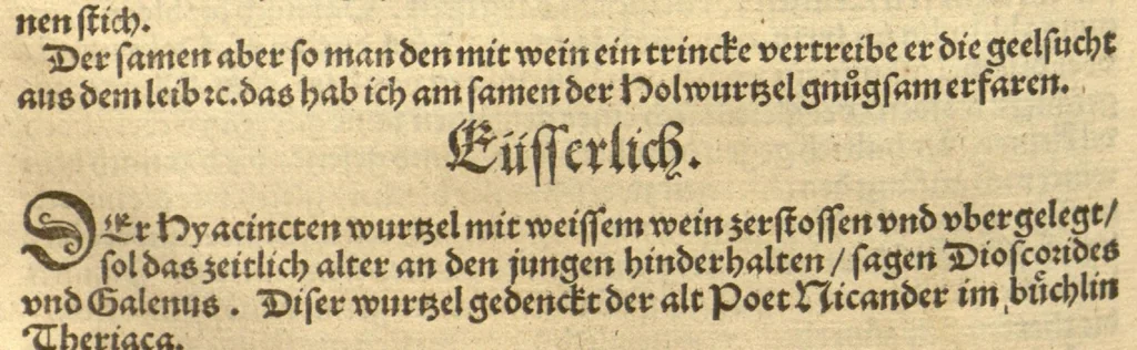 An illustration from Kreu?ter Buch, darin Underscheid, Wu?rckung und Namen der Kreu?ter so in Deutschen Landen wachsen ?auch der selbigen eigentlicher und wolgegru?ndter gebrauch inn der Artznei fleissig dargeben, Leibs Gesundheit zu behalten und zu fu?rderen seer nutzlich und tro?stlich, vorab dem gemeinen einfaltigen man /durch H. Hieronymum Bock aus langwiriger und gewisser erfarung beschriben und jetzund von newem fleissig u?bersehen, gebessert und gemehret, dazu mit hu?pschen artigen Figuren allenthalben gezieret., 1546, leaf 621