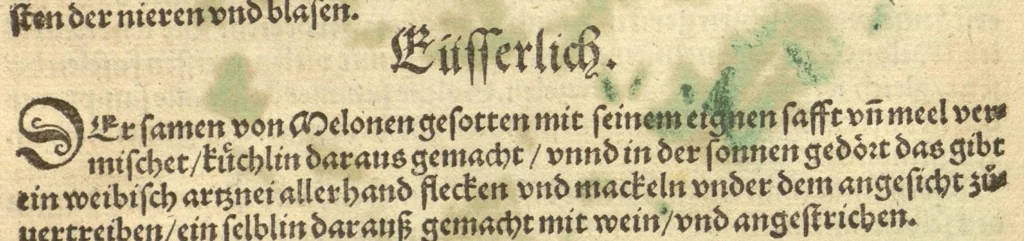 An illustration from Kreu?ter Buch, darin Underscheid, Wu?rckung und Namen der Kreu?ter so in Deutschen Landen wachsen ?auch der selbigen eigentlicher und wolgegru?ndter gebrauch inn der Artznei fleissig dargeben, Leibs Gesundheit zu behalten und zu fu?rderen seer nutzlich und tro?stlich, vorab dem gemeinen einfaltigen man /durch H. Hieronymum Bock aus langwiriger und gewisser erfarung beschriben und jetzund von newem fleissig u?bersehen, gebessert und gemehret, dazu mit hu?pschen artigen Figuren allenthalben gezieret., 1546, leaf 664
